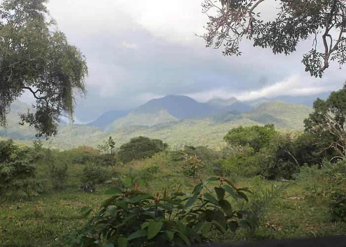 Coffee Mountain Inn