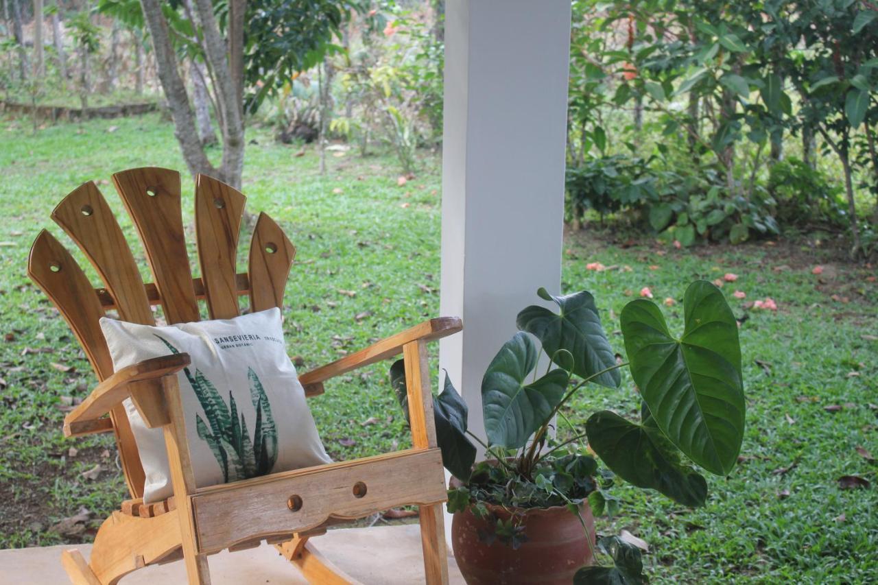 Coffee Mountain Santa Fe (Veraguas)